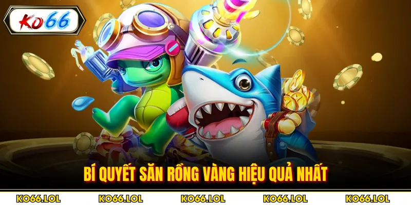 Bí quyết săn rồng vàng hiệu quả nhất