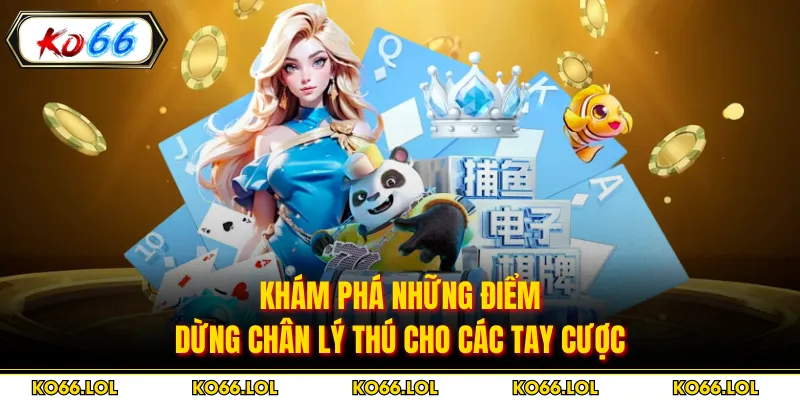 Khám phá những điểm dừng chân lý thú cho các tay cược